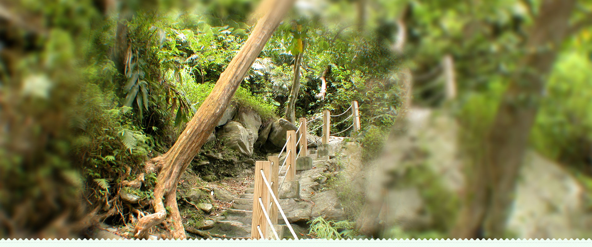 卓溪旅遊意象 3